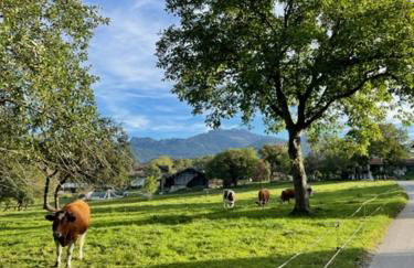 Ferienwohnung Florina - Foto 3