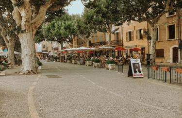 Unique historical home, middle of the village, bath & patio - Foto 63