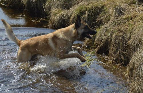 Ferienwohnung Waldblick mit Sauna - Foto 19