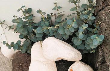 La Terraza - Foto 22