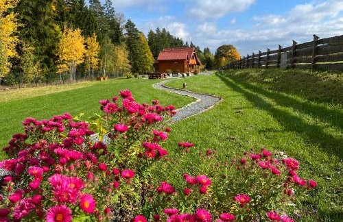 Okno na las - Foto 22