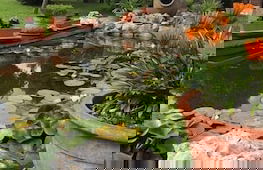 Apartamentos La Gloria - Foto 63