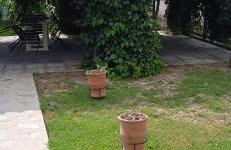 Fyllenia Country Home, Aridaia, Pozar Baths - Foto 44