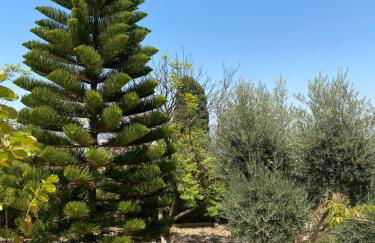 Detached holiday house, 2 bedrooms, private garden, pool - Photo 28