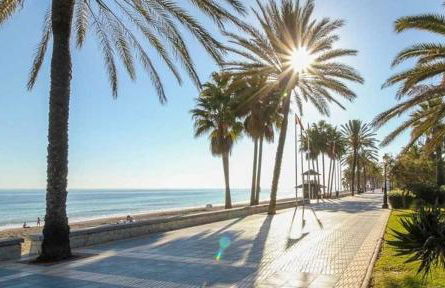 Casa Rosa Nova - Photo 26