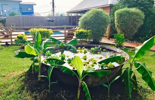 BAGOS ECO RETREAT & CAFE - Photo 31