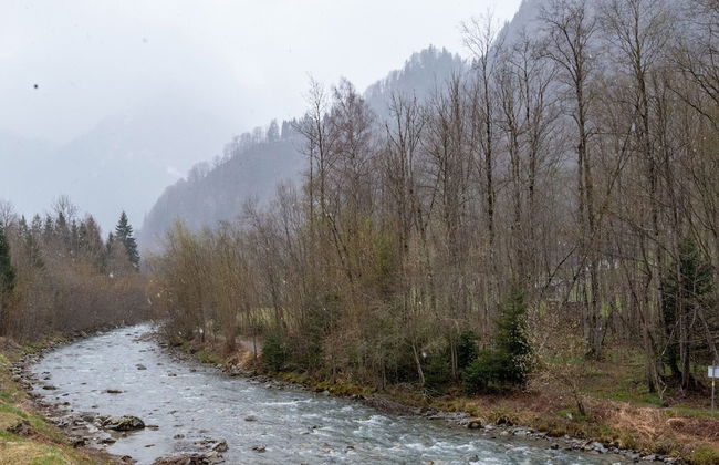 Apartment in Sankt Gallenkirch With Terrace - Foto 35