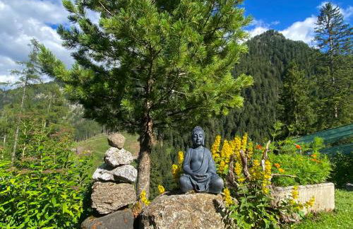 Alpine Chalet CESA VEDLA -nature & silence - Foto 26