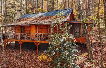 South Fork cabin at Cabin Fever in NC - Foto 6
