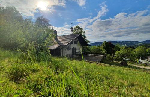 Unser Woidhaisl - idyllisches Ferienhaus im Bayerischen Wald - Foto 29