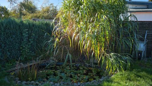 Bungalow Haffblick - Foto 4