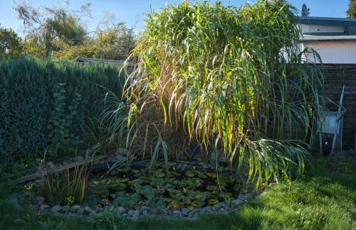 Bungalow Haffblick - Foto 4