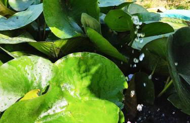 Il Poggetto di Barbara - Casa Bianca - Foto 16