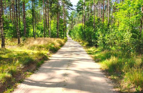 Chatka Baby Jagi - Domek z balią i kominkiem w lesie pośród jezior - Foto 34