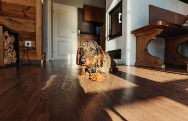 Holiday Homes in the Schierke Harzresort, Schierke - Foto 47