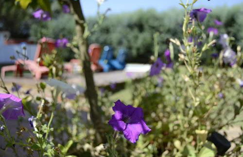 Alojamientos Rurales La Codosera - Foto 43