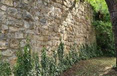 Ferienapartment Wilma - Foto 65