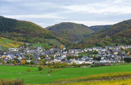 Ferienwohnung im Moseltal - Foto 18