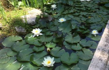 Casa de las Vistas - Photo 41