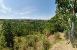 Agriturismo Il Burlino Apartments - Foto 62