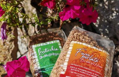 casa vacanze campagna in compagnia - Photo 60