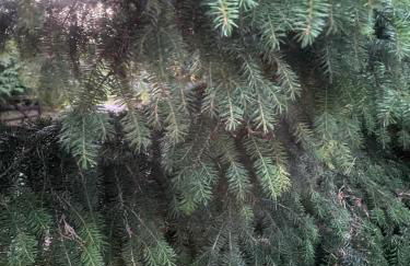 Tawny Lodge, Evesham Nr Cotswolds - Foto 49