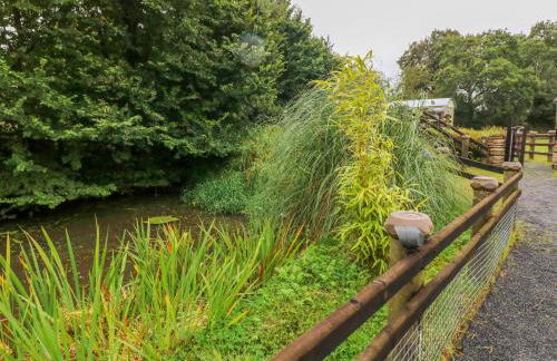 Shepherds Hut - The Hurdle - Foto 19