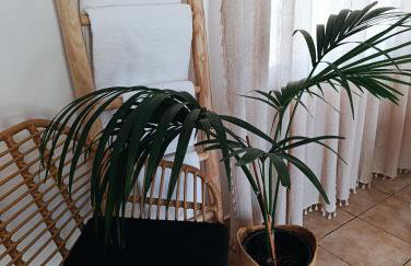 Plakourakia - Photo 23