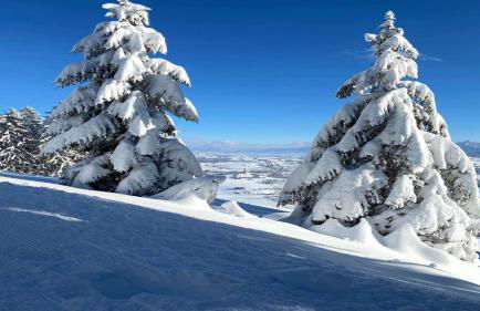 Ferienwohnungen Doro - Foto 57