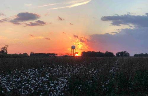 Sunset Log Cabin - Foto 22