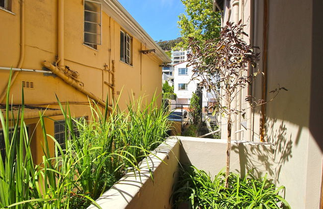 6 Chester Court - Photo 14