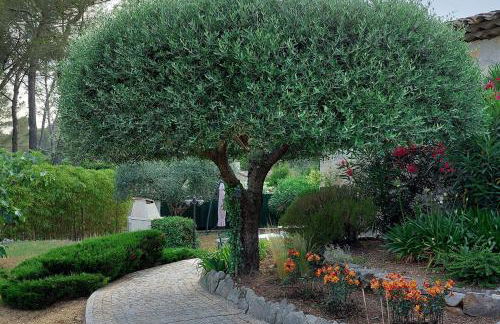 Gîte LES PINS climatisé piscine jardin parking - Foto 9