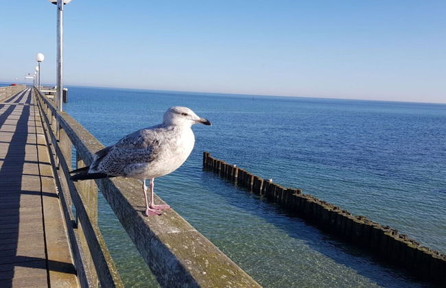 Lighthouse View Modern Retreat - Foto 16