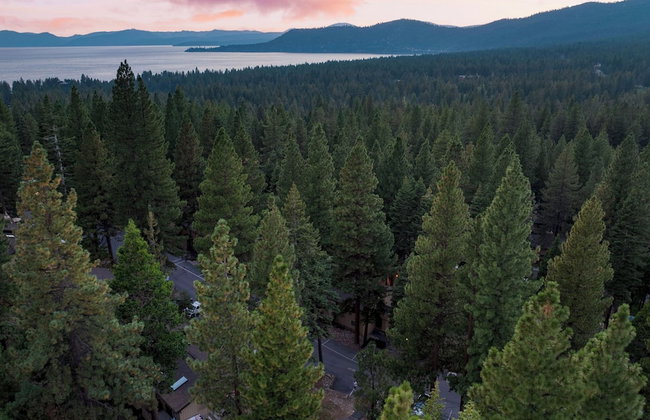 Tahoe Dreamin by Avantstay Central Location - Foto 89
