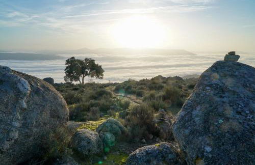 Casa Dr Ramiro Salgado - Douro Superior, Torre de Moncorvo - Foto 31