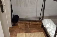 Cortijo J&S Juan Salvador - Photo 4