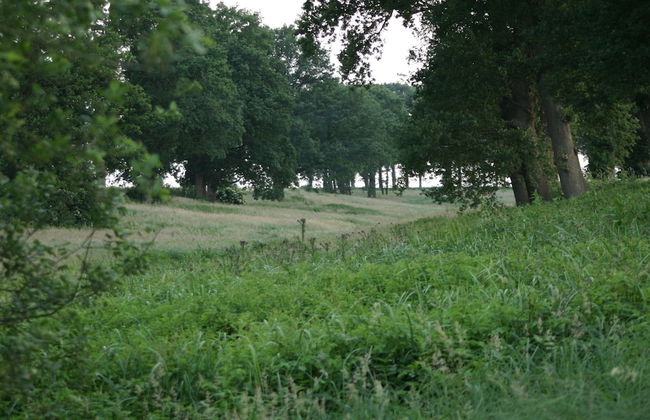 Chalet in Ootmarsum on Kuiperberg - Foto 26