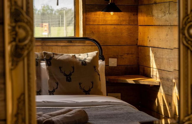 Luxury Safari Lodge Surrounded by Deer!! 'roe' - Foto 10