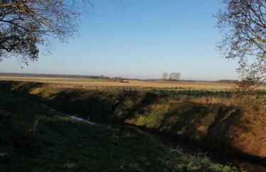 Amazingly quiet and peaceful studio getaway. - Foto 28