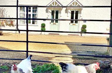 Moat Cottage, Newby Hall, Ripon, North Yorkshire - Foto 13