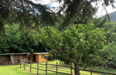 Holiday home with alpine panorama - Foto 9