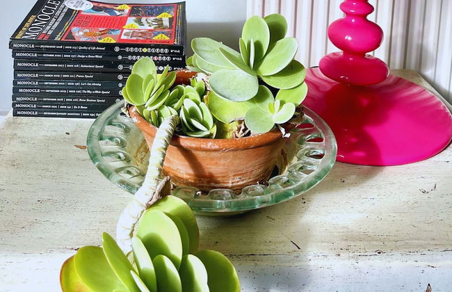 Lovely 3-bed Apartment & Garden & dog Friendly - Foto 11