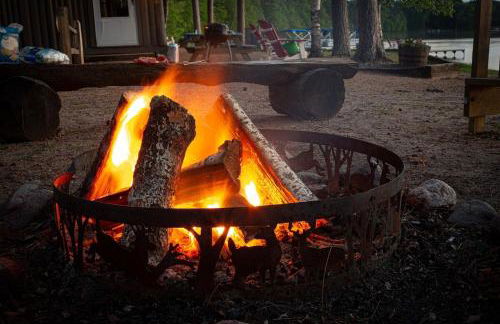 Cedaroma Lakeview cozy Cabin 6 Amazing Views - Photo 16