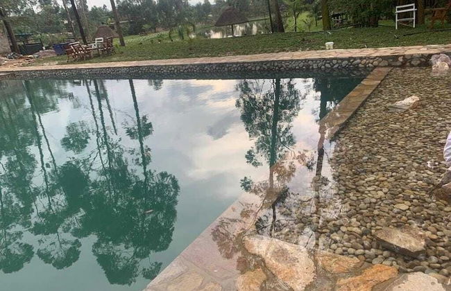 Nyungu Yamawe Forest Park - Foto 11