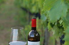 Fattoria di Mugnano - Foto 27