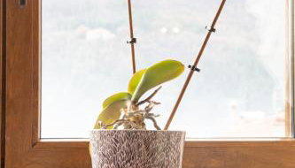 Soffitta House Sofi! - Foto 2