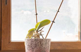 Soffitta House Sofi! - Foto 2