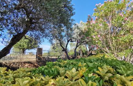 La Casa Di Rita in Muriscuv - Foto 104