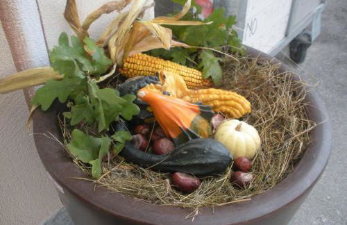 Lucas Haus - Foto 67