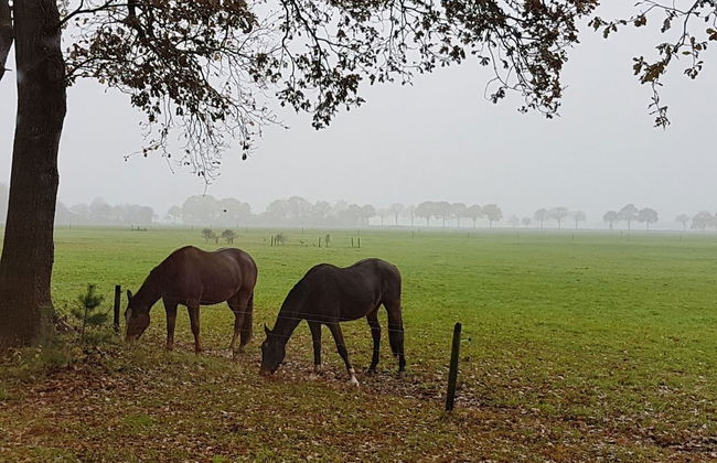 Restful Holiday Home in Lemele - Foto 30